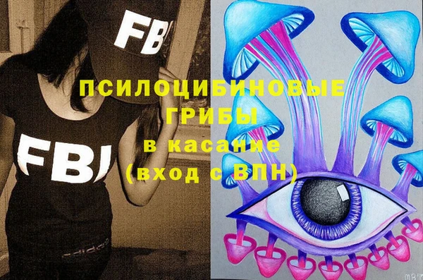 прущие грибы Переславль-Залесский
