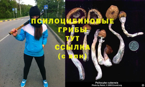 крисы Нязепетровск