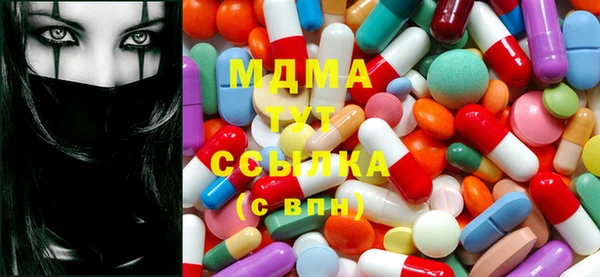 прущие грибы Переславль-Залесский