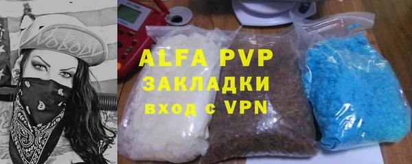 стафф Осинники