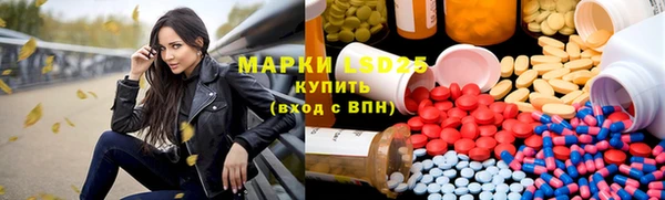 ПСИЛОЦИБИНОВЫЕ ГРИБЫ Осташков